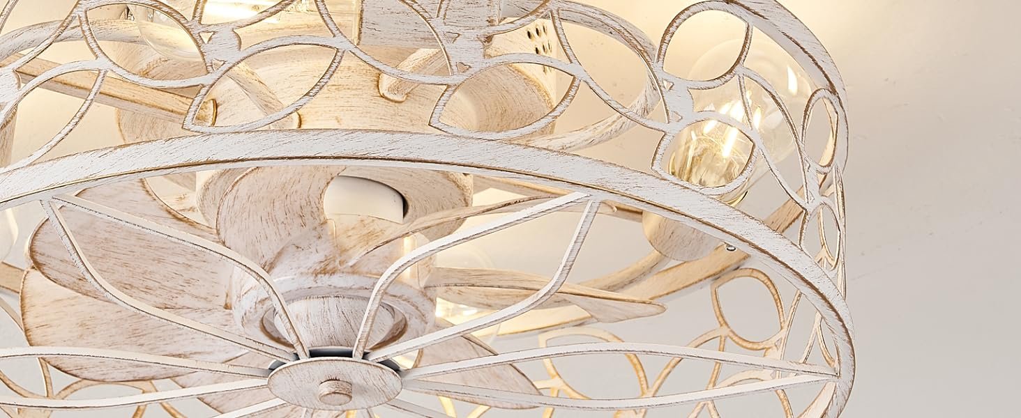 caged ceiling fan