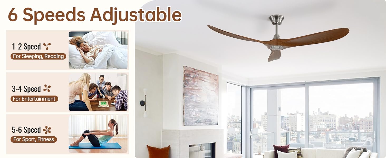 ceiling fan