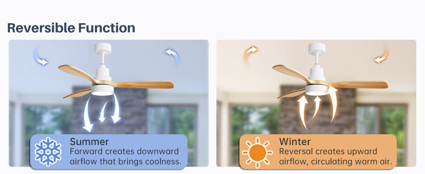ceiling fan