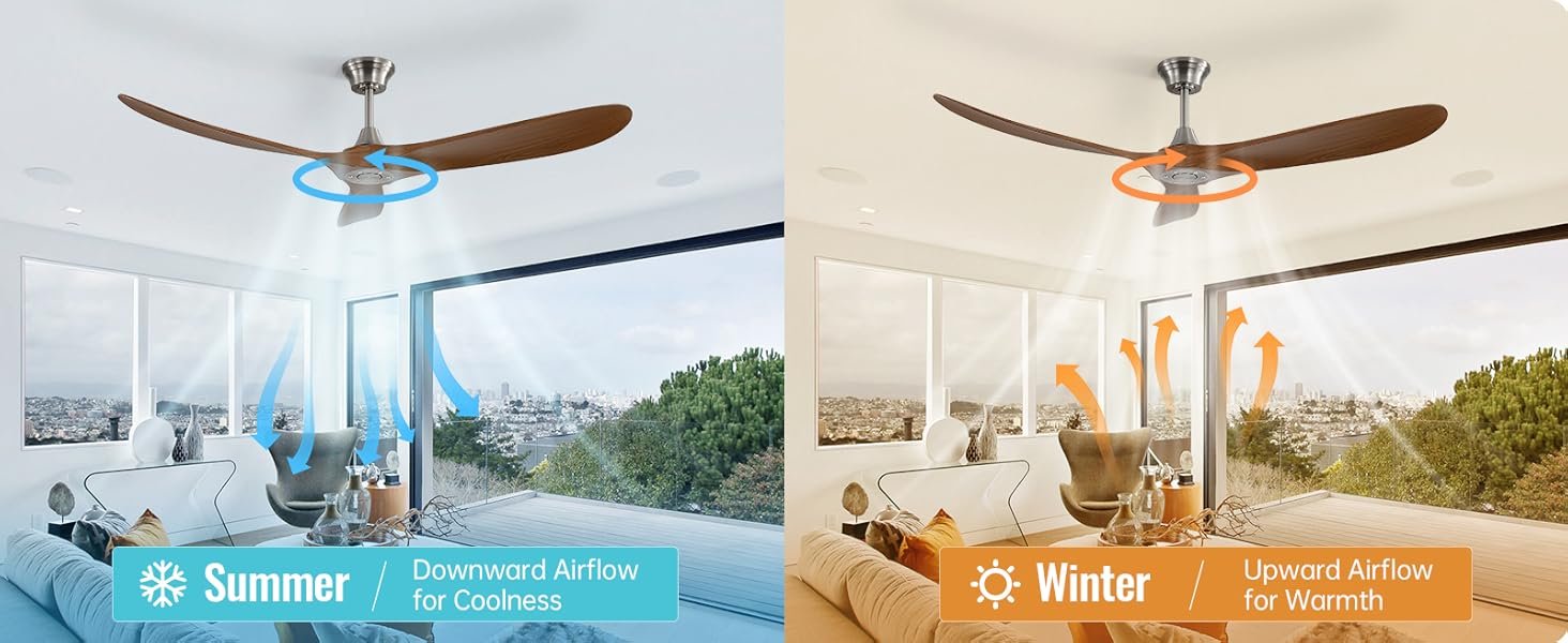 ceiling fan
