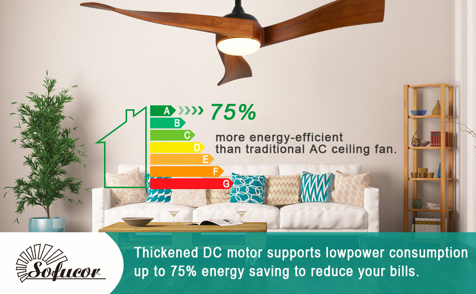 ceiling fans with lights
