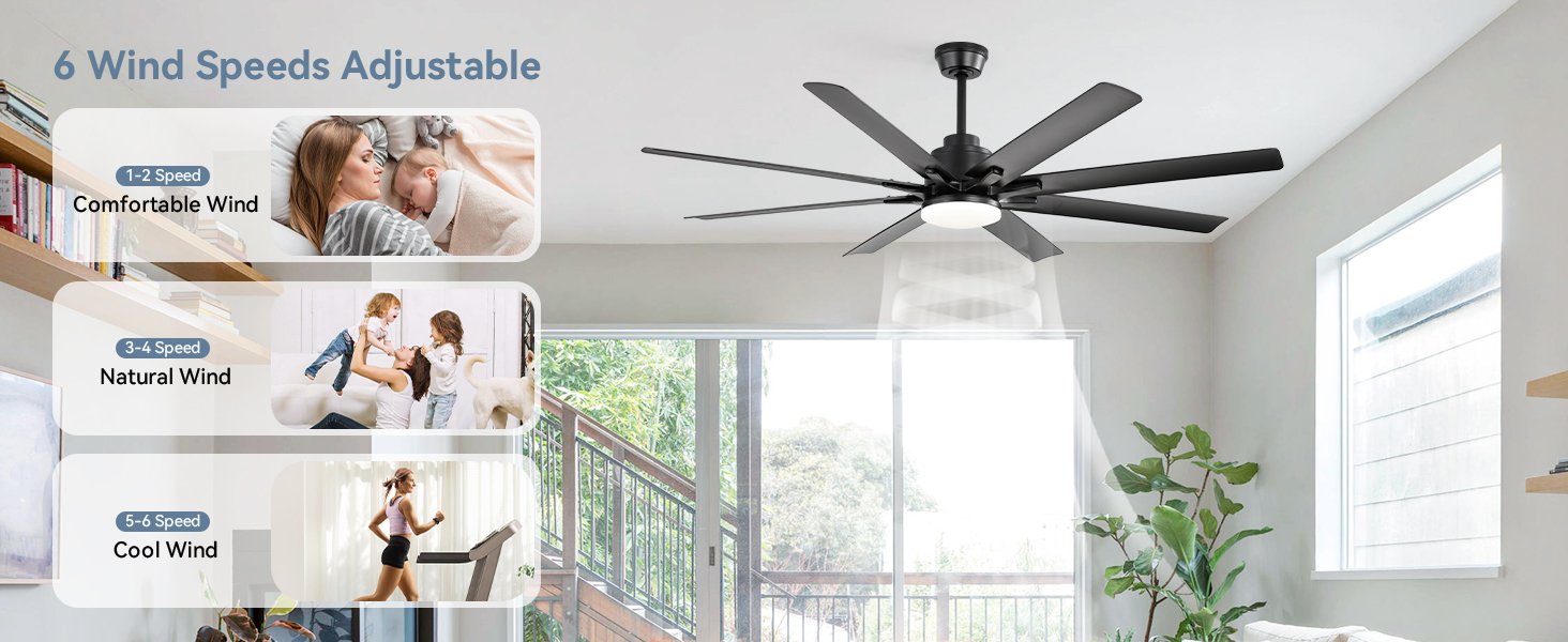 ceiling fan 