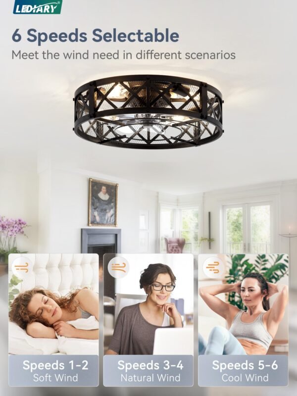 20" Caged Ceiling Fan With Light, APP&Remote Control, Small Flush Mount Farmhouse Fan Lights - Image 4