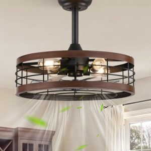 16.5 inch Black Caged Ceiling Fan with Light, Fandelier Industrial Ceiling Fan with Remote