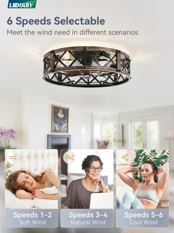 20" Caged Ceiling Fan With Light, APP&Remote Control, Small Flush Mount Farmhouse Fan Lights - Image 12