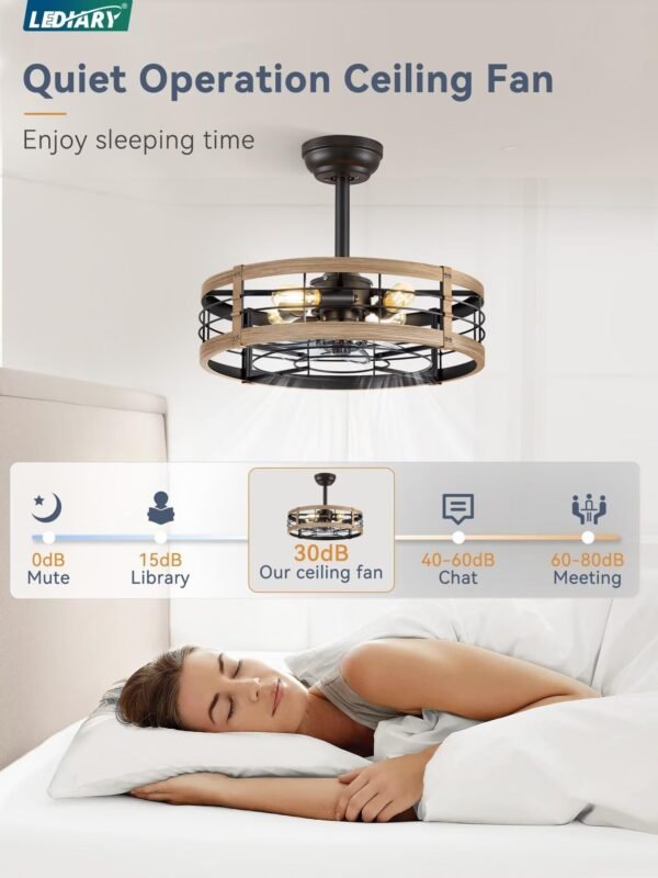 20 inch Fandelier Caged Ceiling Fan with Light, Bladeless Ceiling Fan with Remote - Image 16