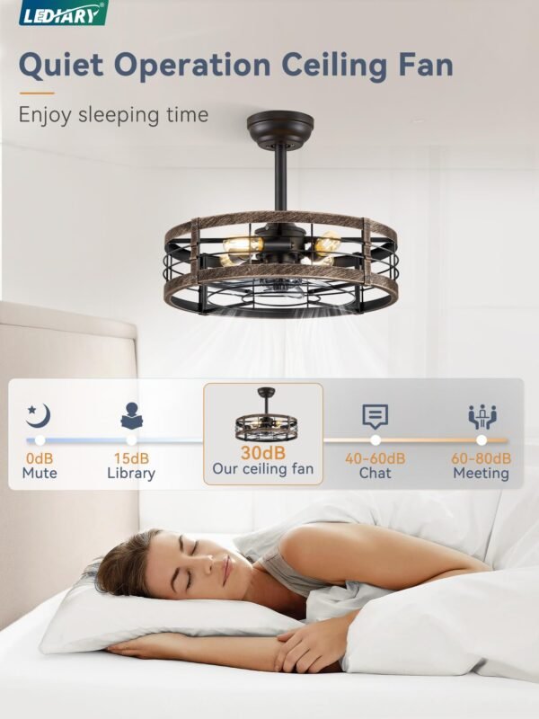 20 inch Fandelier Caged Ceiling Fan with Light, Bladeless Ceiling Fan with Remote - Image 9