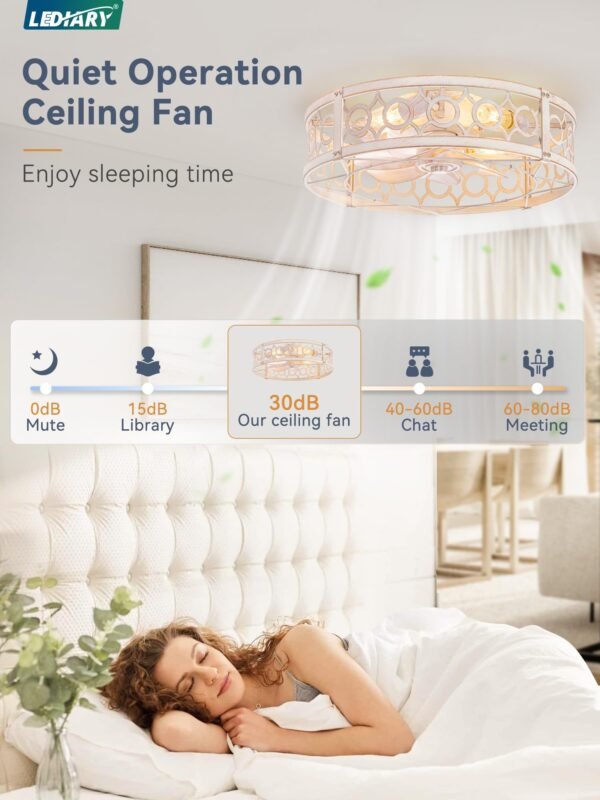 Caged Ceiling Fan with Light and Remote, 16in Small Low Profile Ceiling Fans with Lights - Image 2
