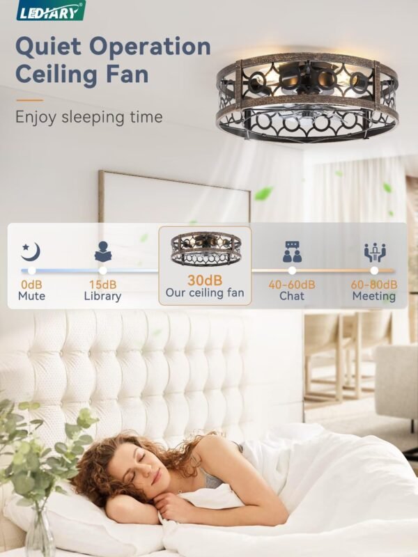 Caged Ceiling Fan with Light and Remote, 16in Small Low Profile Ceiling Fans with Lights - Image 9