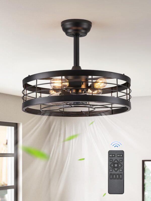 20 inch Fandelier Caged Ceiling Fan with Light, Bladeless Ceiling Fan with Remote - Image 22