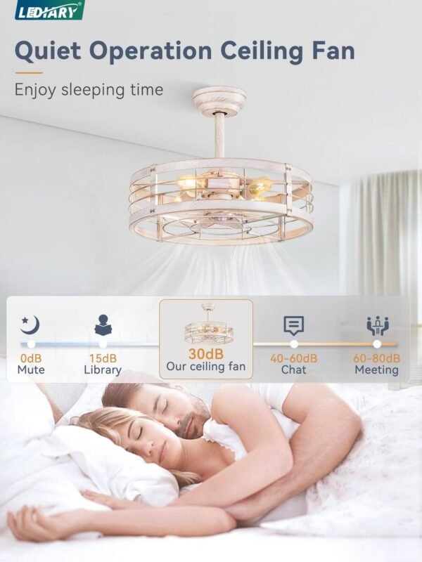 20 inch Fandelier Caged Ceiling Fan with Light, Bladeless Ceiling Fan with Remote - Image 2