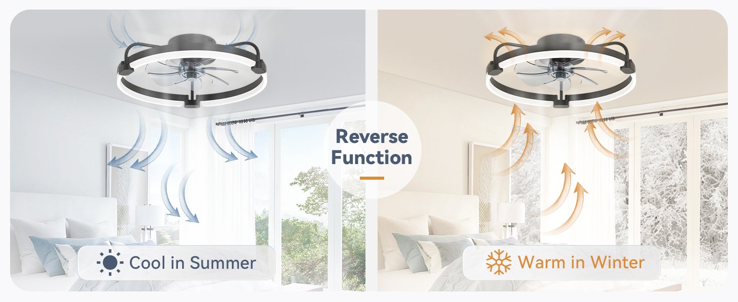 lighting & ceiling fans