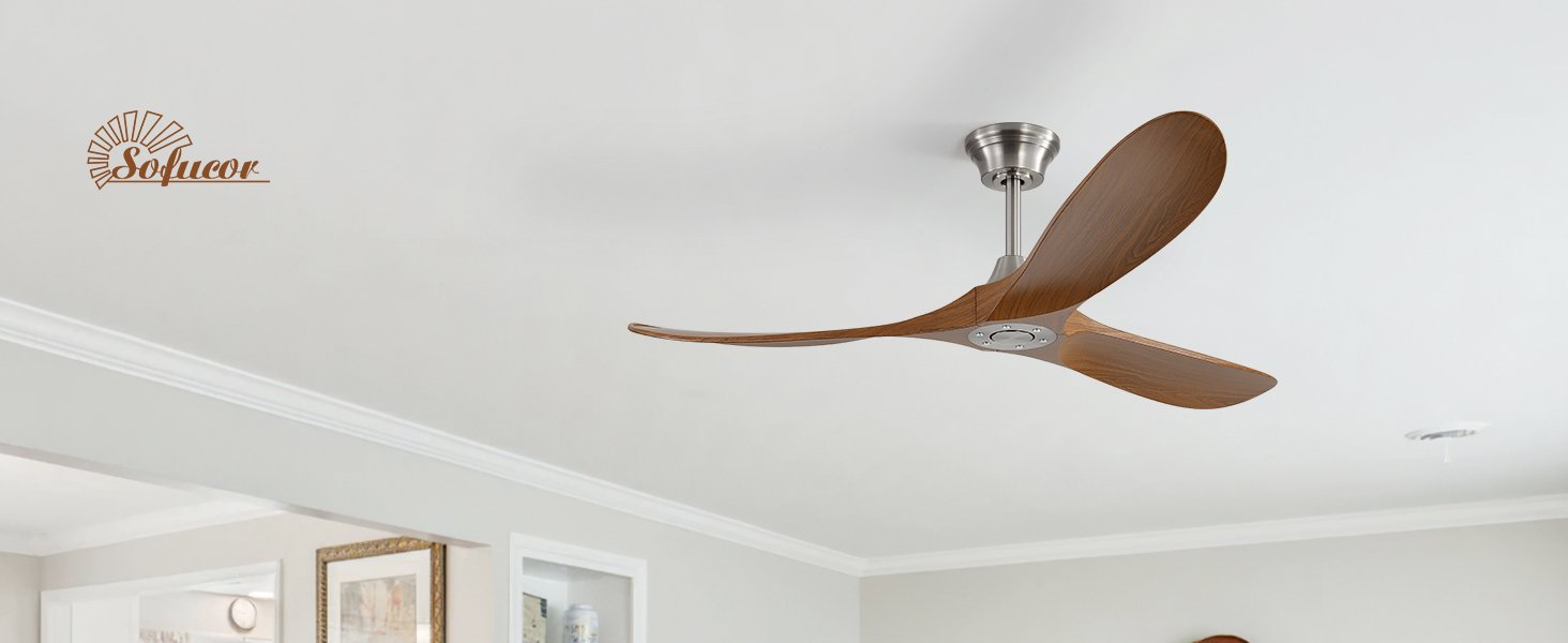 ceiling fan