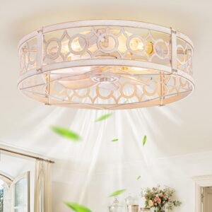 Caged Ceiling Fan with Light and Remote, 16in Small Low Profile Ceiling Fans with Lights