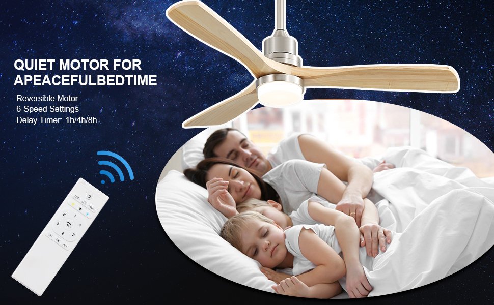 outdoor ceiling fan