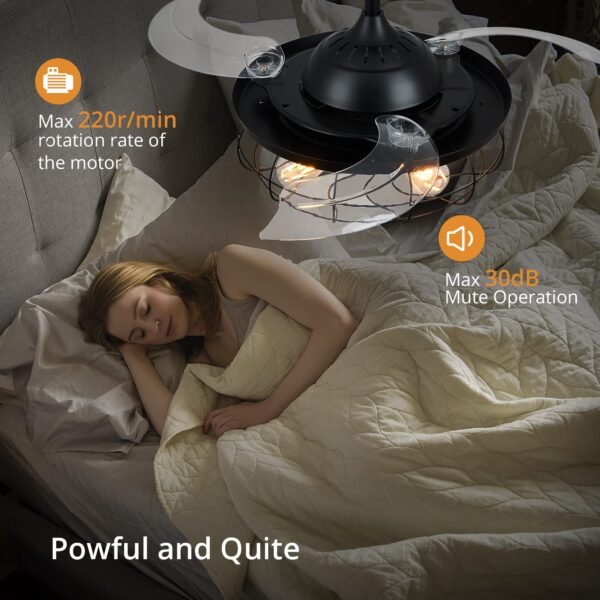20" Caged Ceiling Fans with Lights and Remote, Flush Mount Bladeless Ceiling Fan Low Profile - Image 3