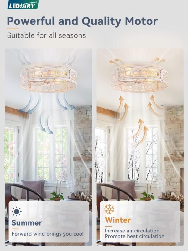Caged Ceiling Fan with Light and Remote, 16in Small Low Profile Ceiling Fans with Lights - Image 24