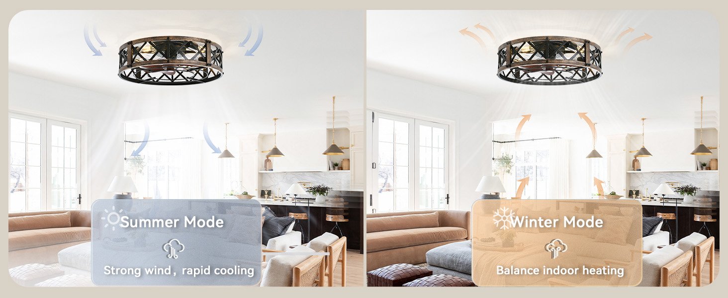 20 inch caged ceiling fan