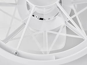 Transparent Fan Blades