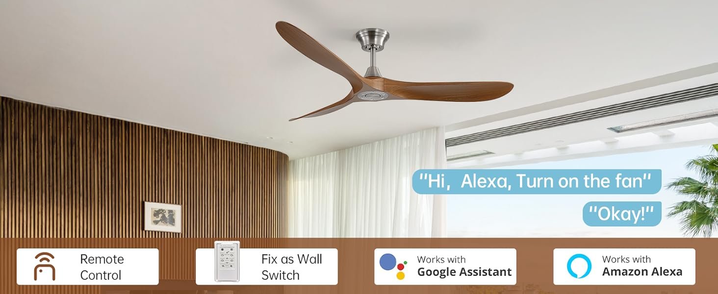 ceiling fan