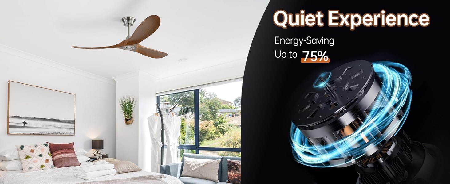 ceiling fan