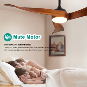 quiet ceiling fan