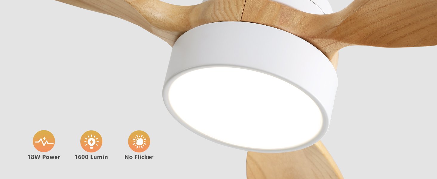 ceiling fan
