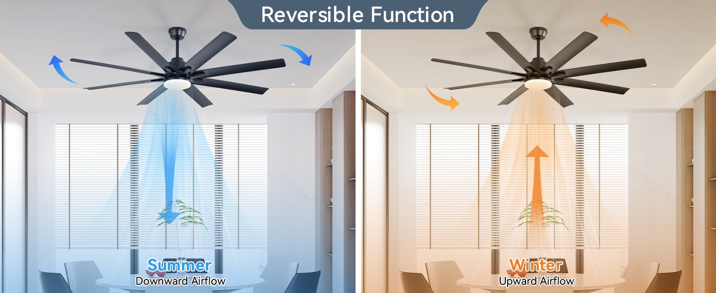 ceiling fan 