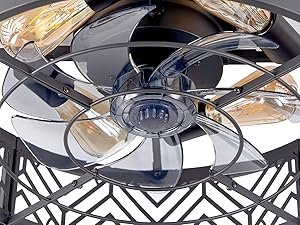 black ceiling fan