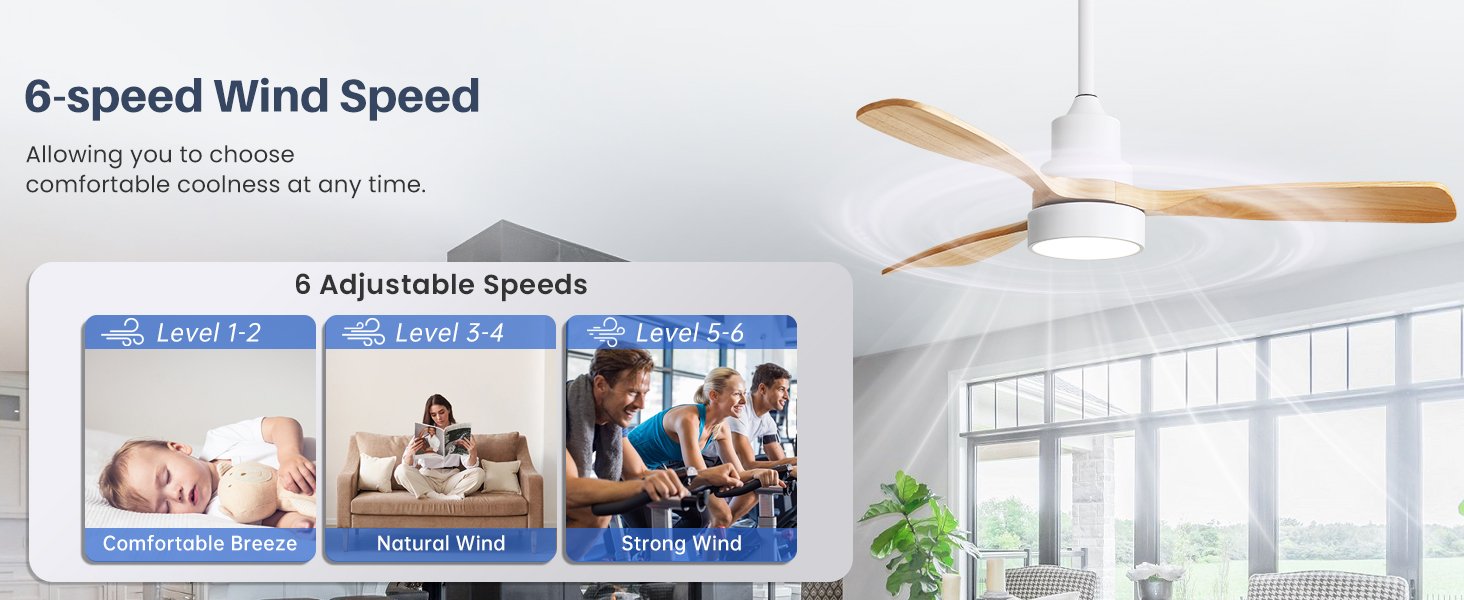 ceiling fan